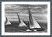 Historic Print (S): [Olympic games, Berlin - sailing race (6-m-R class)]