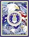 Military Fleece Panel U.S. Air Force Eagle