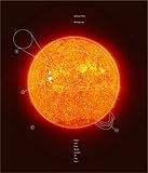 Damien Hirst/Michael Joo : have you ever really looked at the sun?