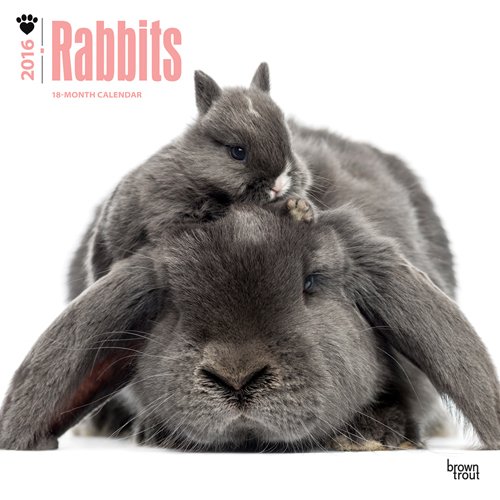 Rabbits 2016 Square 12x12 (Multilingual Edition)