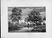 MARE NEAR BELLE CROIX OLD PRINTS c1880 FRANCE