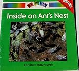 Inside an ant's nest