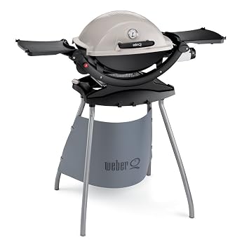 barbecue weber q120