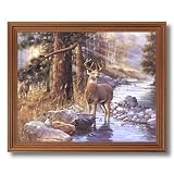 Buck Deer Doe Lake Animal Wildlife Cabin Lodge Picture Oak Framed Art Print by 