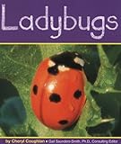 Ladybugs (Insects)