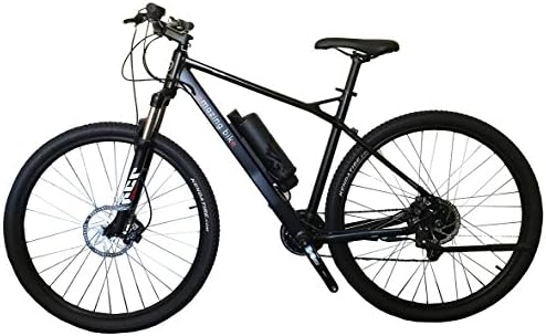 Electric Bike (Black, Large)