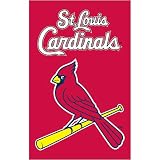 St. Louis Cardinals MLB Applique Banner Flag (44x28)