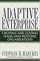 Adaptive Enterprise: Creating and Leading Sense-And-Respond Organizations