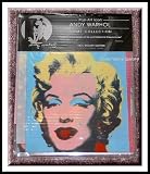 Andy Warhol Shower Curtain