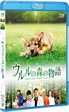 �����ο���ʪ��[Blu-ray]