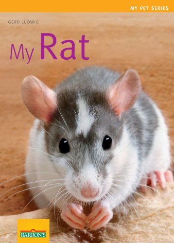 My Rat (My Pet (Barron's))