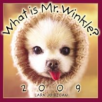 What is Mr. Winkle? 2009
