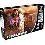 PNY GeForce 9800GT 512MB GDDR3 PCI Express Grafikkarte 2x DVI, 1x HDTV-OUT