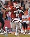 Darren McFadden Arkansas Razorbacks - Running - Autographed 8x10 Photograph