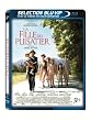 La Fille du puisatier [Blu-ray]