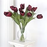 Burgundy Triumph Tulip Stems - Set Of 6