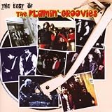 The Best of the Flamin Groovies: Oldies But Groovies
