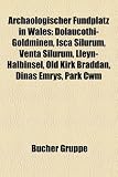 Archaologischer Fundplatz in Wales: Dolaucothi-Goldminen, Isca Silurum, Venta Silurum, Lleyn-Halbinsel, Old Kirk Braddan, Dinas Emrys, Park Cwm venta
