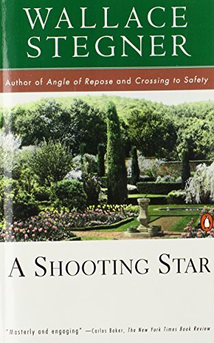 A Shooting Star by Stegner, Wallace (1996) Paperback
