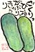 [苗]加賀野菜・金沢太きゅうり 10.5cmポット苗 ２本セット
