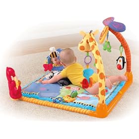 Fisher-Price Discover and Grow Open Top Musical Discovery Gym