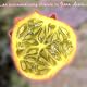 An Extraordinary Tribute To Fiona Apple