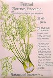 Florence Fennel Heirloom Seeds 100 Seeds
