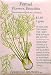 Florence Fennel Heirloom Seeds 100 Seeds
