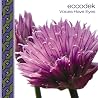 Image of album by Eccodek