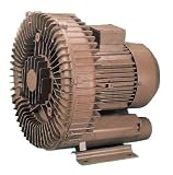 51jPgvOtTRL. SL160  2 HP Duralast Commercial Pool & Spa Blower