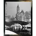 Central Park Framed Print - 26x38"