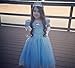 Cinderella Crystal Princess Party Costume Dress with Accessories