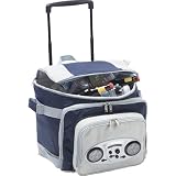 Picnic Plus Cooladio Radio Cart