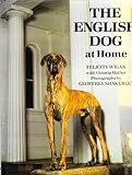 The English dog at home