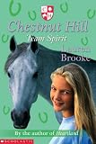Team Spirit (Chestnut Hill) (Chestnut Hill)