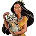 Disney Pocahontas & Meeko Sketchbook Christmas Ornament