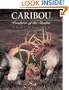 Caribou: Wanderer of the Tundra