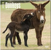 Donkeys 2015 Square 12x12 (Multilingual Edition) Donkeys 2015 Square 12x12 (Multilingual Edition)
