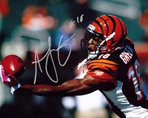 AJ Green Autographed Cincinnati Bengals 8x10 Photo