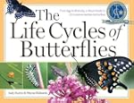 The Life Cycles of Butterflies: From...