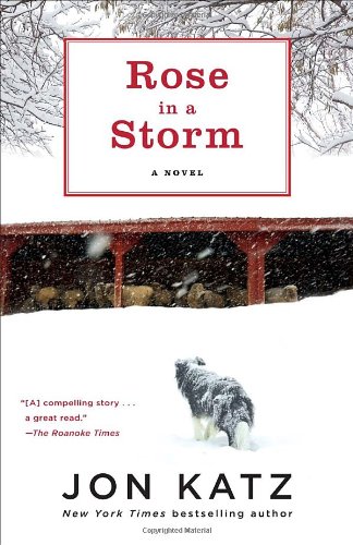 rose in a storm a novel