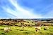 Rural Scenery in Somerset, England. - 36"W x 24"H - Peel and Stick Wall Decal by Wallmonkeys