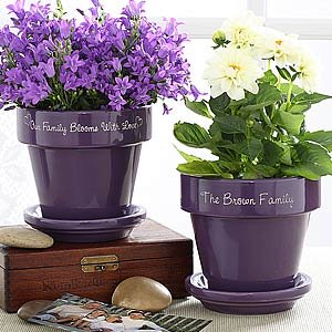 purple flower pot