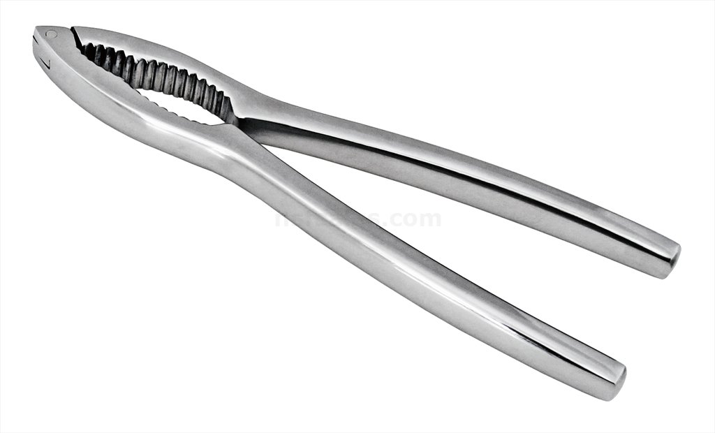 Amazon.com: New Star Foodservice 27976 Heavy Zinc Alloy Lobster ...