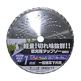山善(YAMAZEN) 草刈用チップソー (外径255mm 刃数40P) YT1-255
