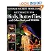 National Wildlife Federation&reg;  Attracting Birds, Butterflies & Backyard Wildlife (Landscaping)
