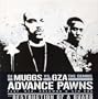 Advance Pawns/Destruction of a Guard [Vinyl]