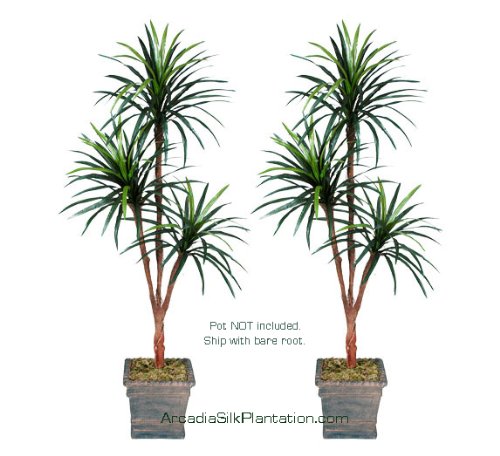 TWO 6' Yucca Tripled Artificial Trees Silk Plants