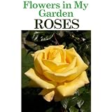 Flowers in My Garden - Roses (Gardening Tips - Flowers in My Garden) ~ Steve Marshall