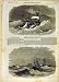 1857 Hms Inflexible Cyclone Starling Gun-Boat Ship Navy